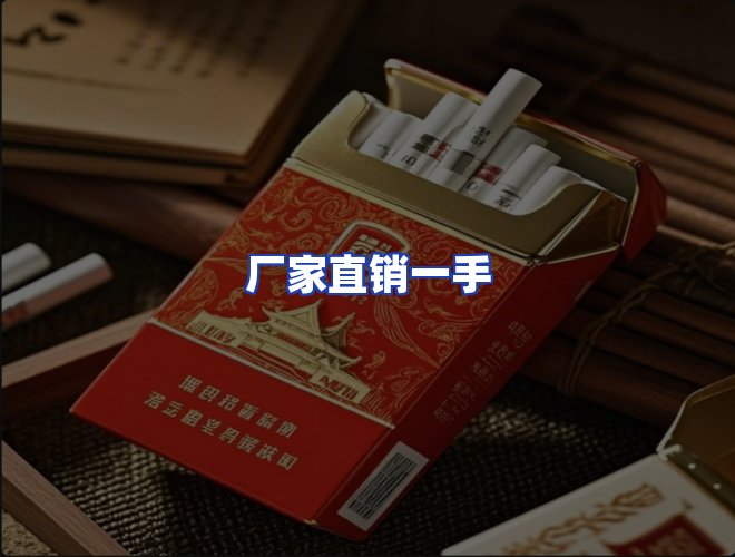 专业团队